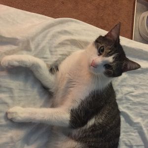 Meet your Posher, Saamantha